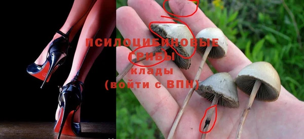 дурь Баксан