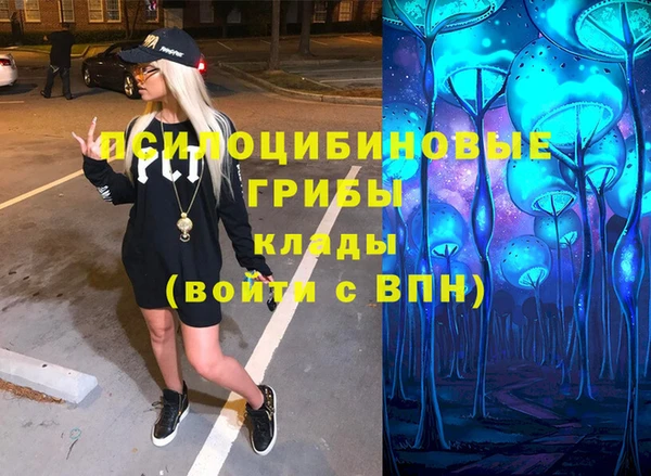 ГАЛЛЮЦИНОГЕННЫЕ ГРИБЫ Балабаново
