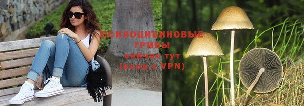 ГАЛЛЮЦИНОГЕННЫЕ ГРИБЫ Балабаново