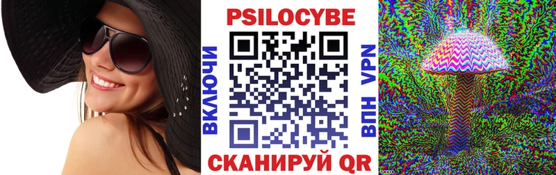 Галлюциногенные грибы Psilocybe  закладка  это официальный сайт  Таштагол 